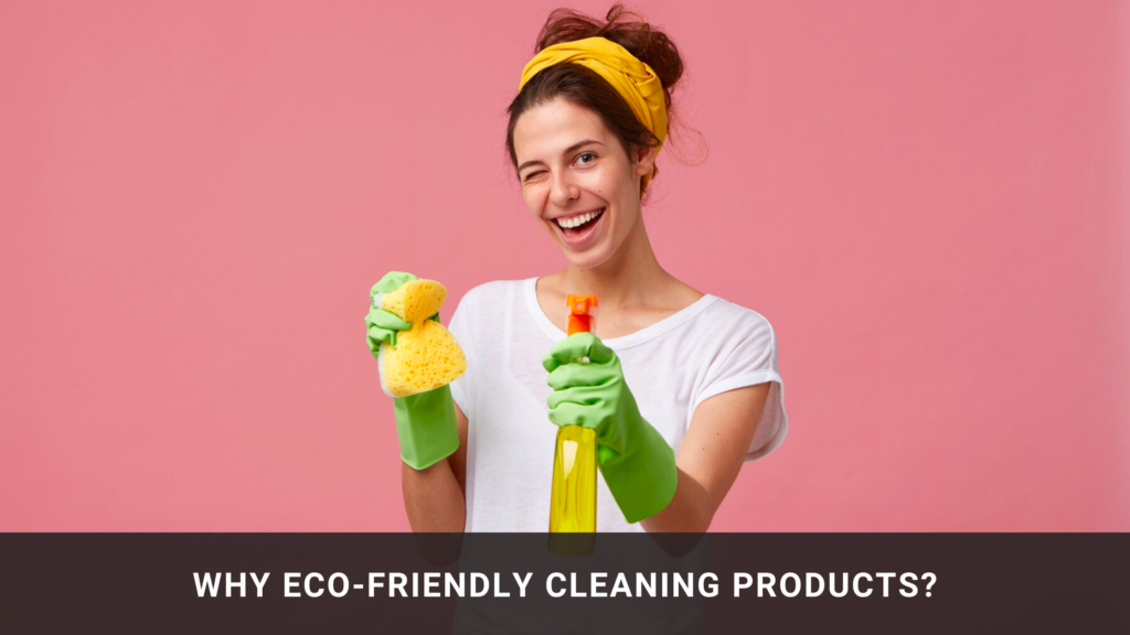 Why Eco-Friendly Cleaning Products?